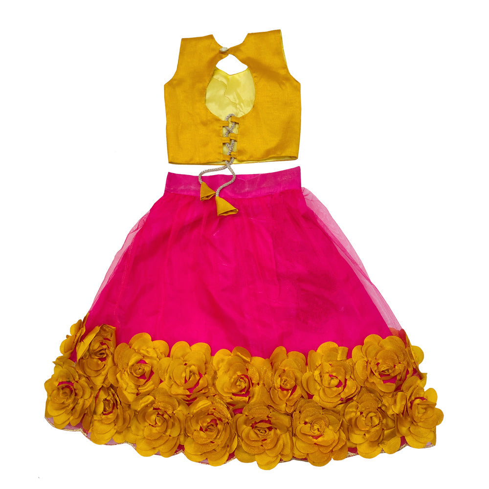 Embriodery Lehenga Choli and Dupatta Set