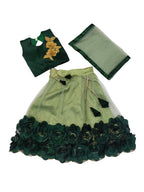 Embriodery Lehenga Choli and Dupatta Set