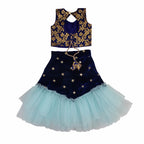 Girls Lehenga Choli Ethnic Wear Set