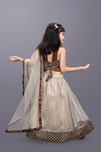 Girls Checkered Lehenga Choli with Dupatta – Festive Ethnic Wear