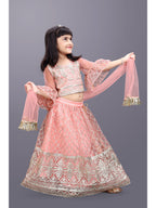 Girls Party Wear Embroidered Lehenga Choli Set with Dupatta | Premium Kids Indian Ethnic Outfit