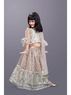 Girls Party Wear Embroidered Lehenga Choli Set with Dupatta | Premium Kids Indian Ethnic Outfit