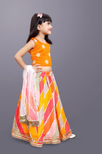 Funky Lehenga Choli and Dupatta Set