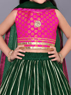Girls Floral Embroidered Lehenga Choli Set with Dupatta