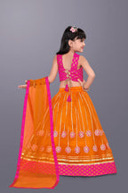 Girls Floral Embroidered Lehenga Choli Set with Dupatta