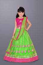 Girls Floral Embroidered Lehenga Choli Set with Dupatta
