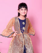 Baby Girls Lehenga Choli Ethnic Wear, Embellished Lehenga Choli