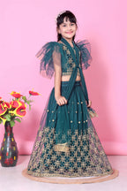 Girls Net Lehenga Choli Embroidered Party Wear Ethnic Dress Kids Wedding
