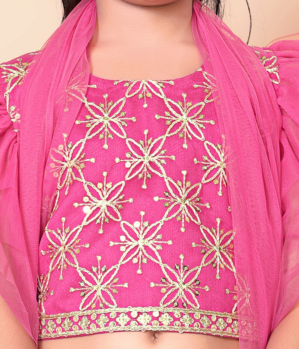 Girls Net Lehenga Choli Embroidered Party Wear Ethnic Dress Kids Wedding