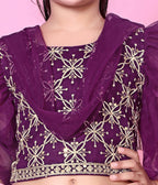 Girls Net Lehenga Choli Embroidered Party Wear Ethnic Dress Kids Wedding