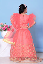 Girls Net Lehenga Choli Embroidered Party Wear Ethnic Dress Kids Wedding
