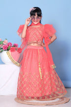 Girls Net Lehenga Choli Embroidered Party Wear Ethnic Dress Kids Wedding