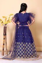 Girls Net Lehenga Choli Embroidered Party Wear Ethnic Dress Kids Wedding