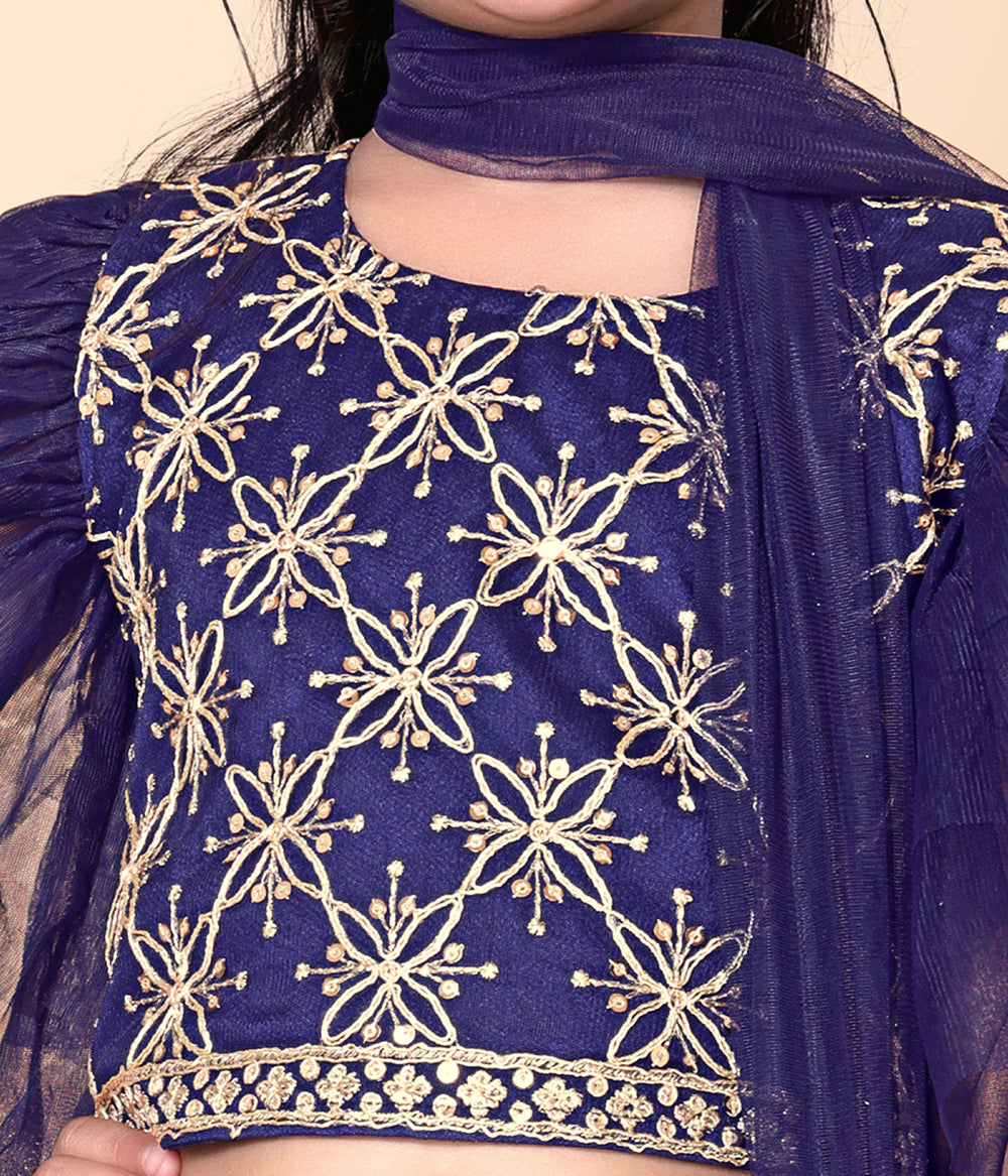 Girls Net Lehenga Choli Embroidered Party Wear Ethnic Dress Kids Wedding