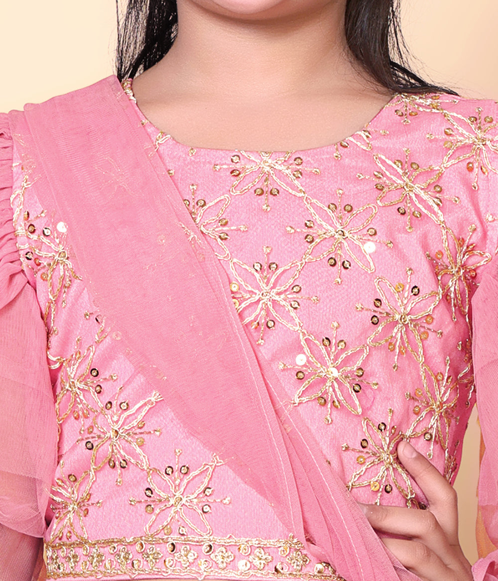 Girls Net Lehenga Choli Embroidered Party Wear Ethnic Dress Kids Wedding