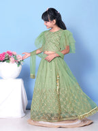 Girls Net Lehenga Choli Embroidered Party Wear Ethnic Dress Kids Wedding
