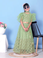Girls Net Lehenga Choli Embroidered Party Wear Ethnic Dress Kids Wedding