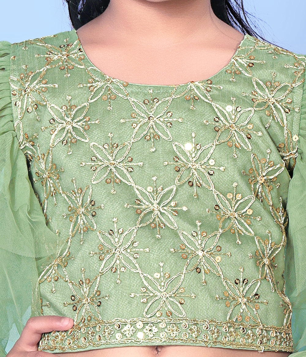 Girls Net Lehenga Choli Embroidered Party Wear Ethnic Dress Kids Wedding