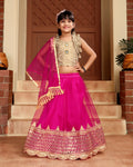 Baby Girls Lehenga Choli Ethnic Wear, Embellished Lehenga Choli