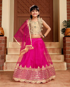 Baby Girls Lehenga Choli Ethnic Wear, Embellished Lehenga Choli