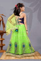 Baby Girls Lehenga Choli Ethnic Wear, Embellished Lehenga Choli