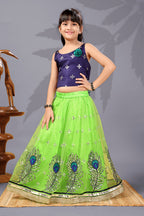 Baby Girls Lehenga Choli Ethnic Wear, Embellished Lehenga Choli